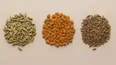 شكل وصورة حبة الحلاوة مع الحلبة والنافع اعرف الفرق بينهم بسهولة