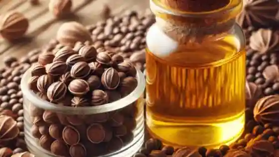 كيف استخدم بذور الأكبي لتكبير المؤخرة؟ أسرار لا يخبرك بها أحد