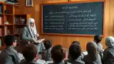 ارقام شيوخ استخراج الكنوز