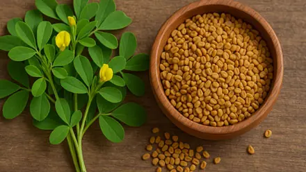 عشبة الحباسة : فوائدها، أضرارها، اسماء من التراث الشعبي تستحق التجربة