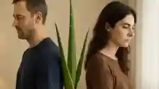 فوائد جل الصبار للجماع: سر طبيعي لتحسين وتقليل الاحتكاك وتحفيز الإحساس بطريقة طبيعية