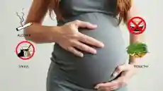 ما يجب تجنبه أثناء الحمل في الشهر الأول : أهم الممنوعات التي لا تعرفها كثير من النساء